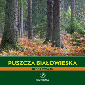 Puszcza